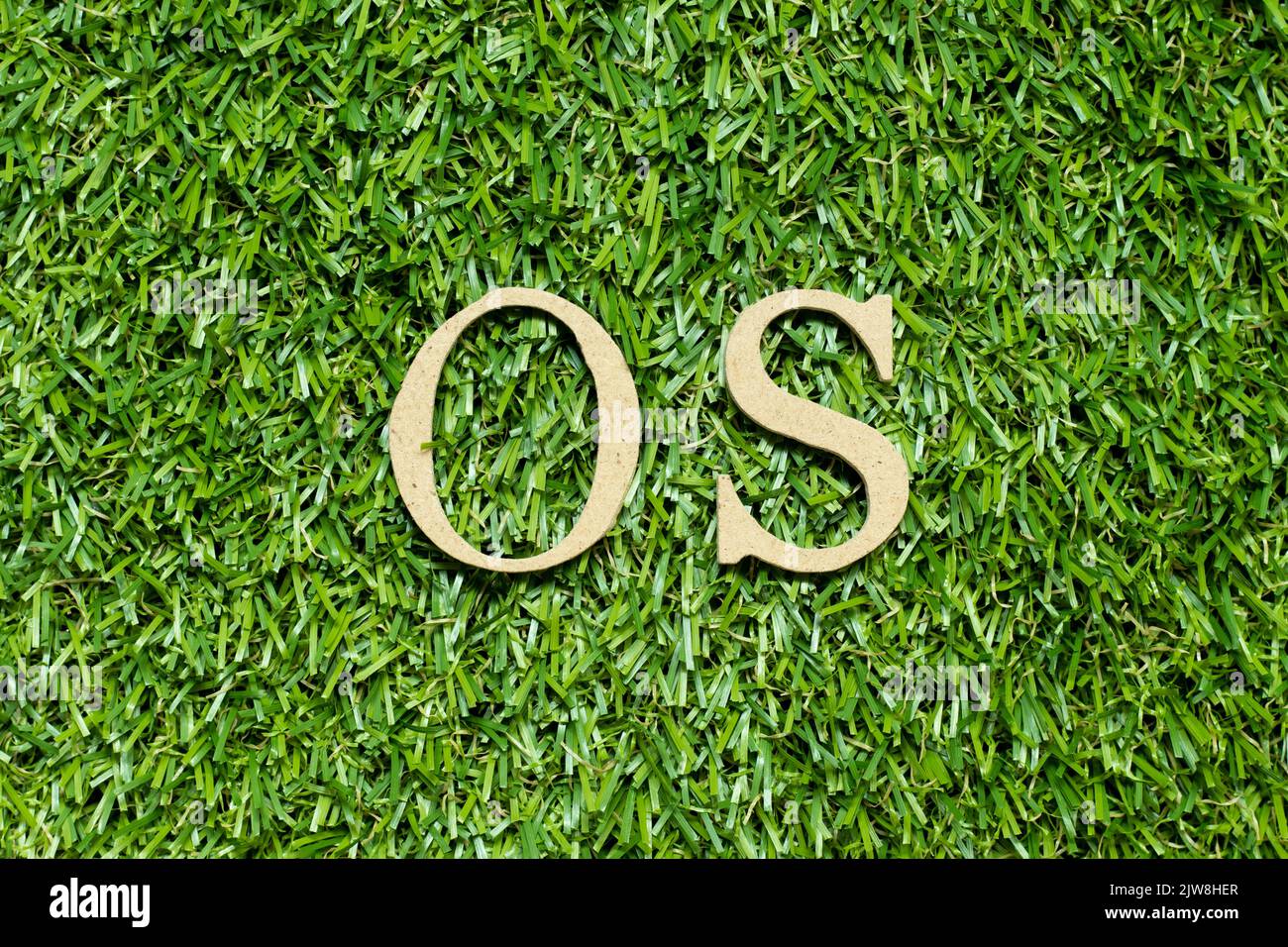 Holz Alphabet Buchstabe in Wort OS (Abkürzung für Betriebssystem) auf grünem Gras Hintergrund Stockfoto