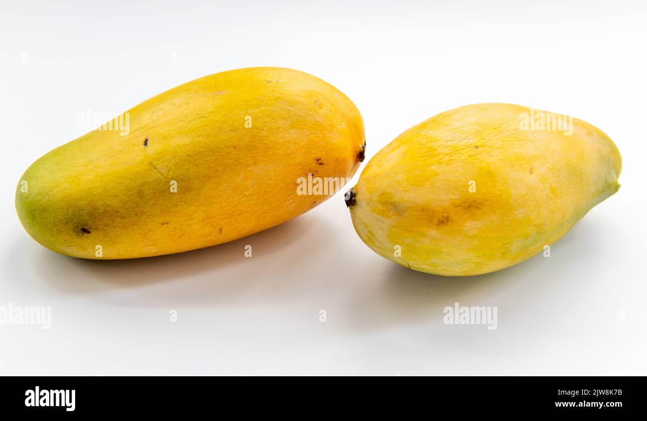 Süße ägyptische Mangos isoliert auf weißem Hintergrund. Stockfoto