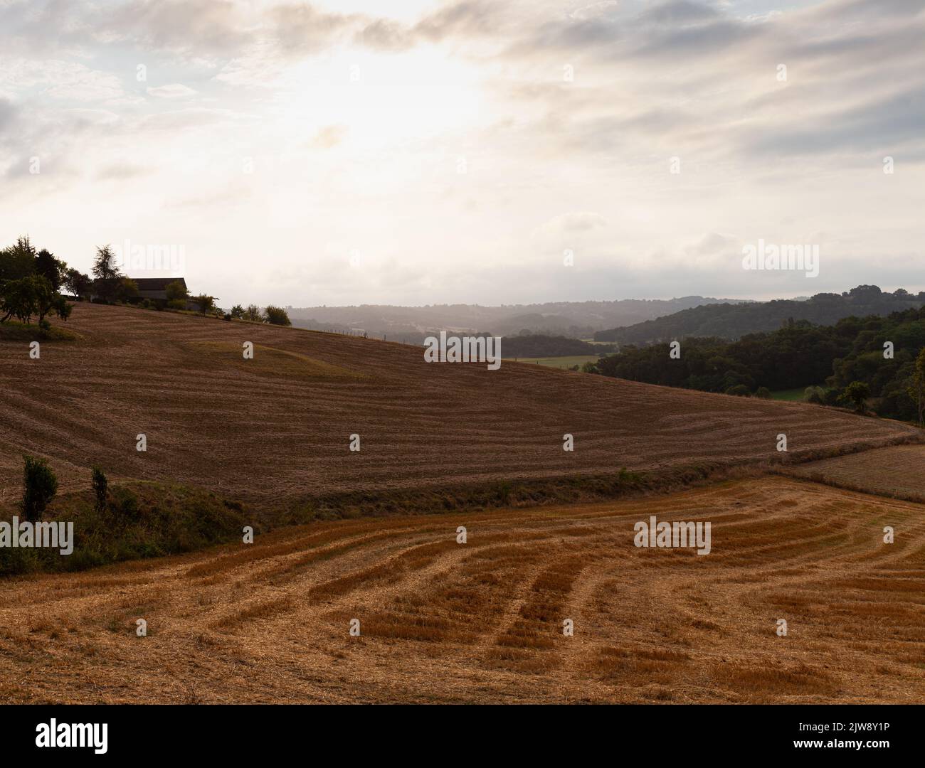Am frühen Morgen Blick auf das Feld entlang der Chemin du Puy, Französisch Route des Jakobswegs Stockfoto