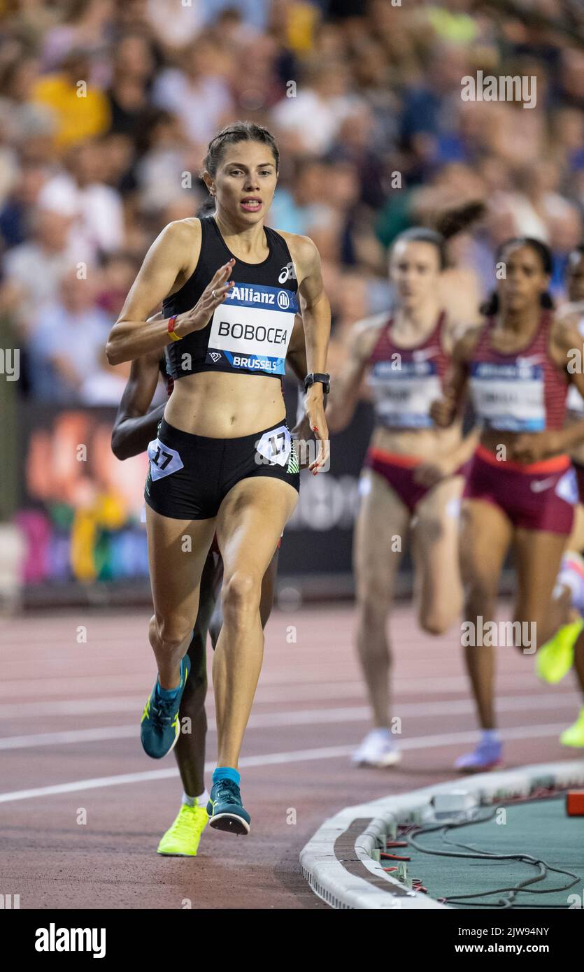 Claudia Mihaela Bobocea Friedensstifterin bei den Frauen im Jahr 1500m