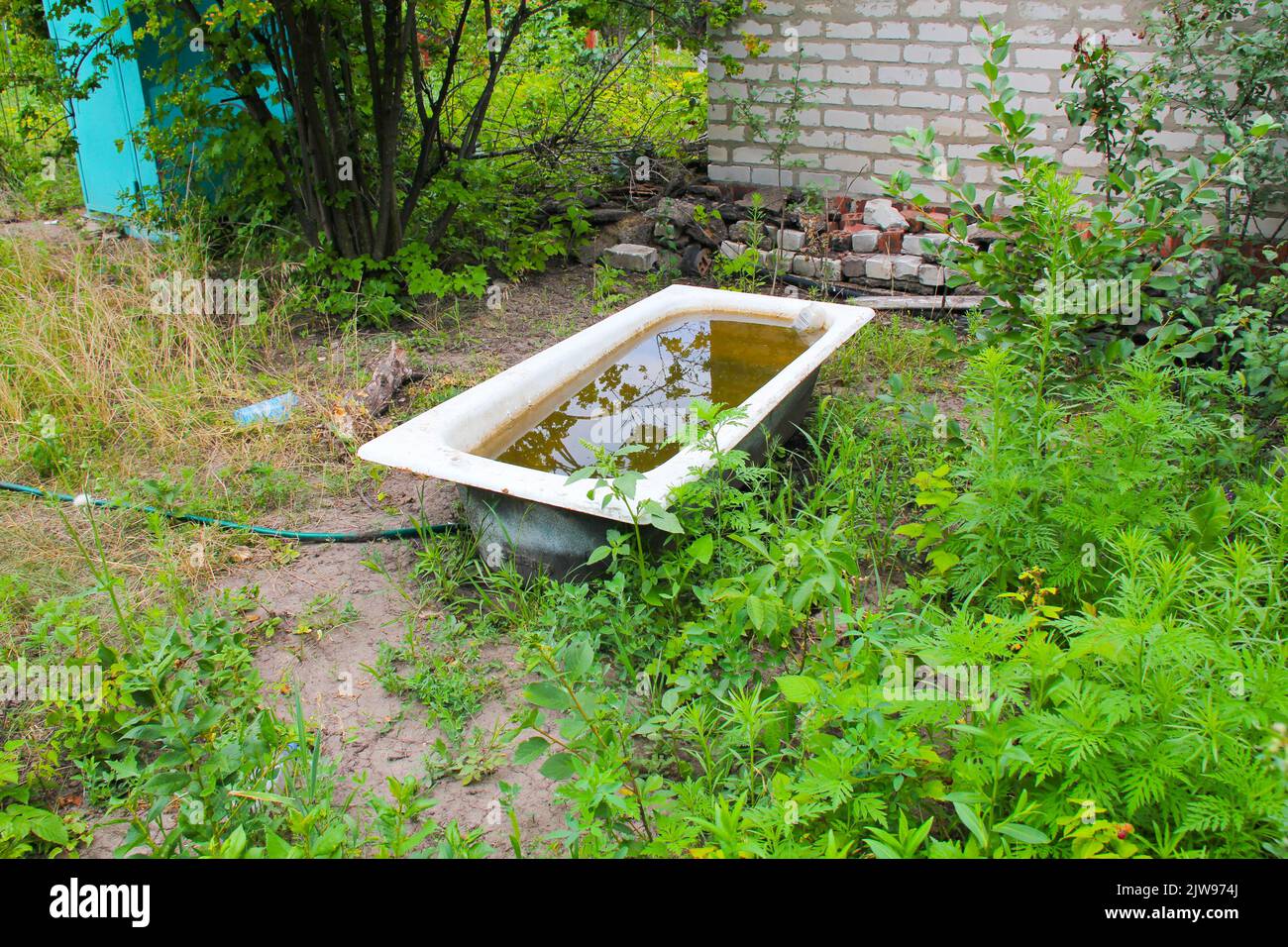 Bad mit schmutzigem Wasser im Garten. Konzept der Ökologie und der Umweltverschmutzung. Ökologische Katastrophe. Badewanne mit rostigem Wasser im grünen Gras daneben Stockfoto
