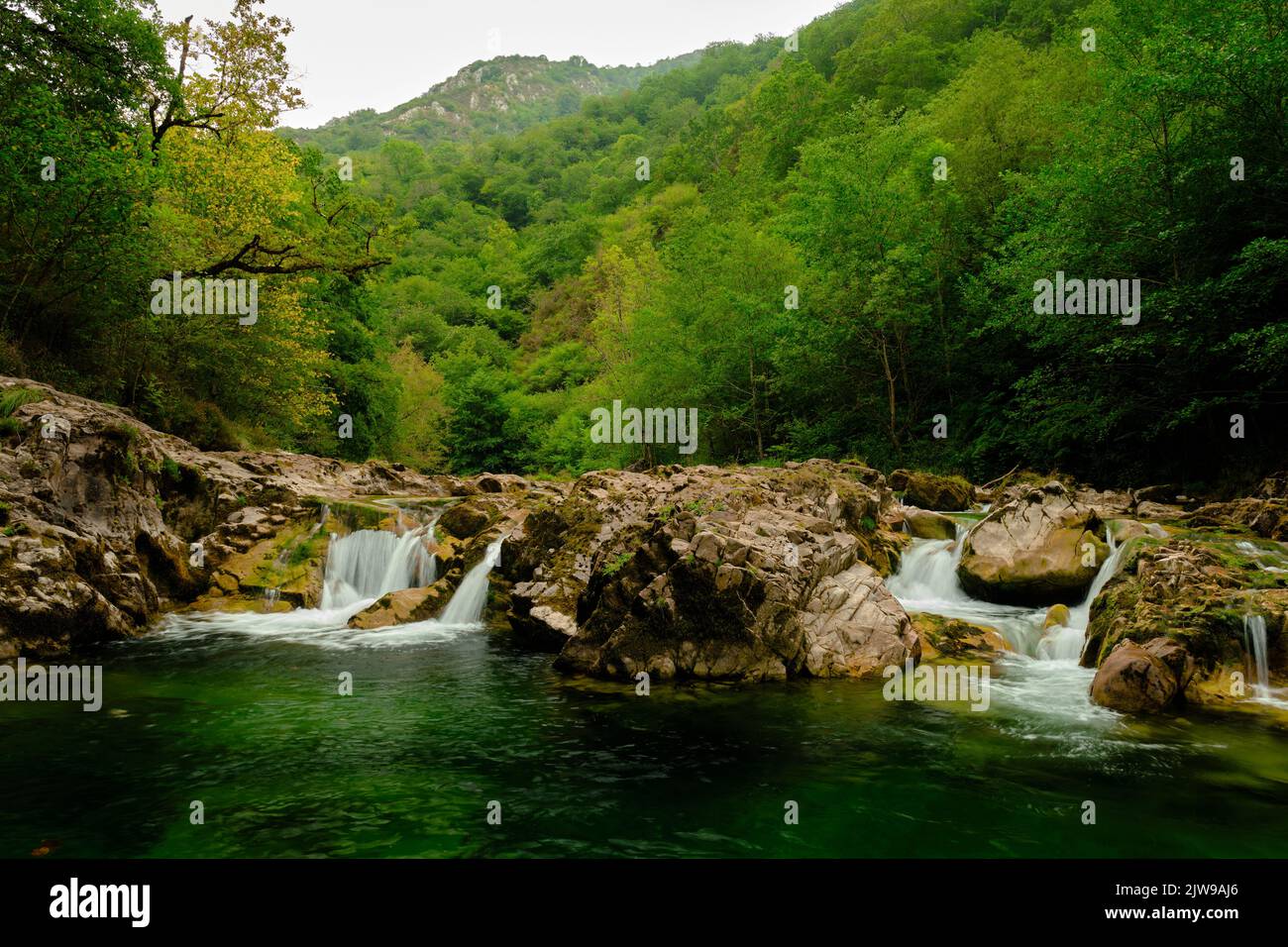 Landschaft von einigen kleinen Wasserfällen in einem Gebirgsfluss, weißes Wasser wird durch die Felsen des Flusses mit einem grünen Wald herum fallen gesehen Stockfoto