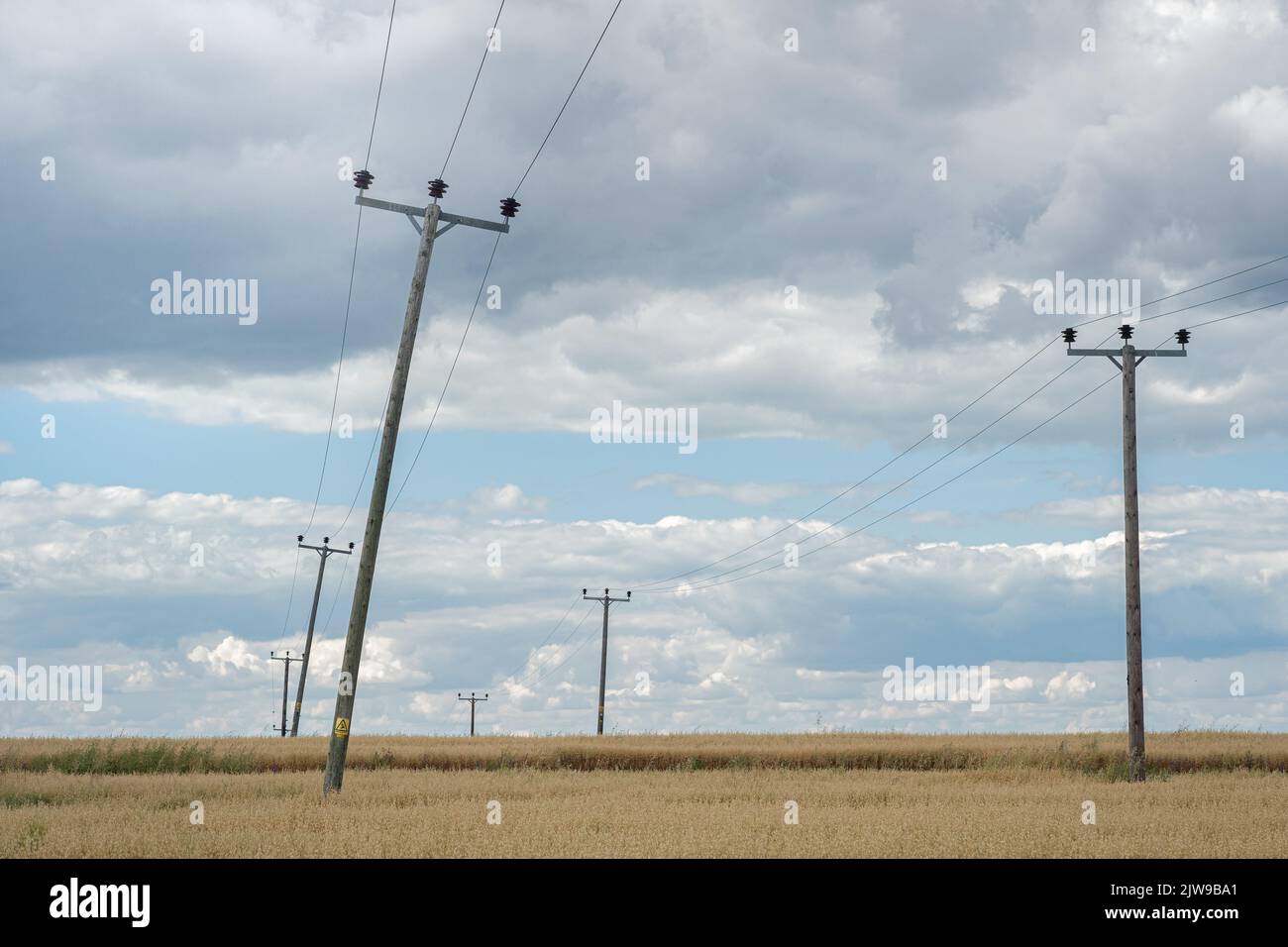 Telegraph Polen auf dem Land, mit Stromkabeln. Stockfoto