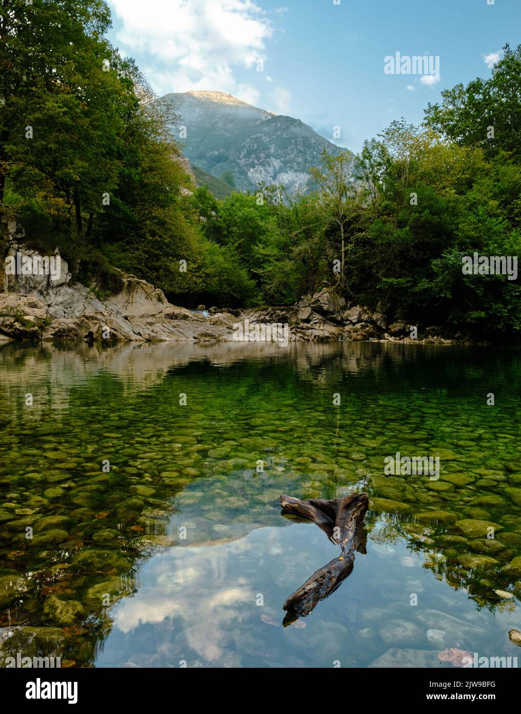 Vertikales Bild eines natürlichen Pools in einem Wald mit kristallklarem Wasser und einigen Bergen im Hintergrund, im Vordergrund kann man einen Stamm sehen Stockfoto