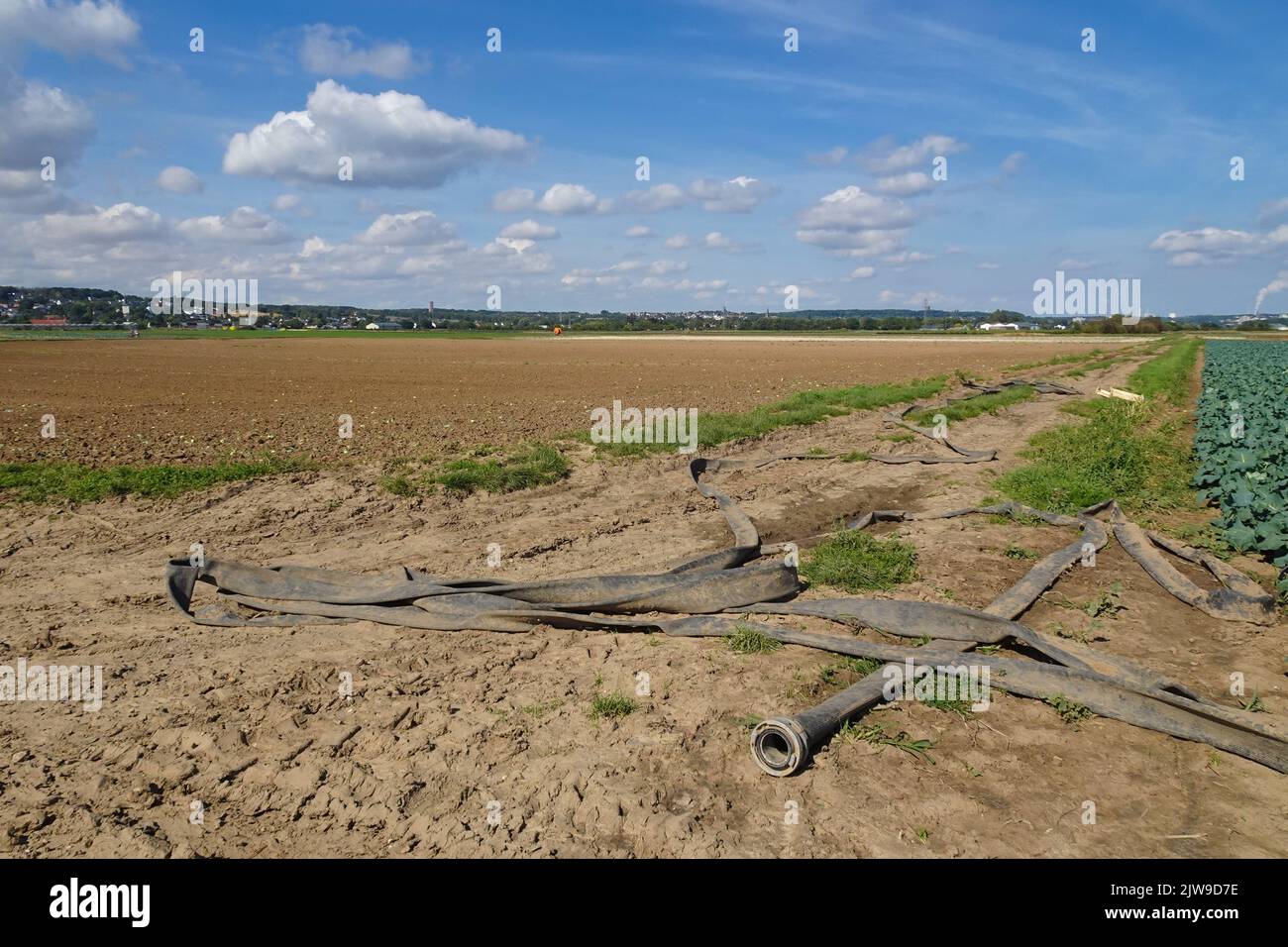 Wasserschläuche liegen in einem Feld bei Bornheim im Rhein-Sieg-Kreis. Stockfoto