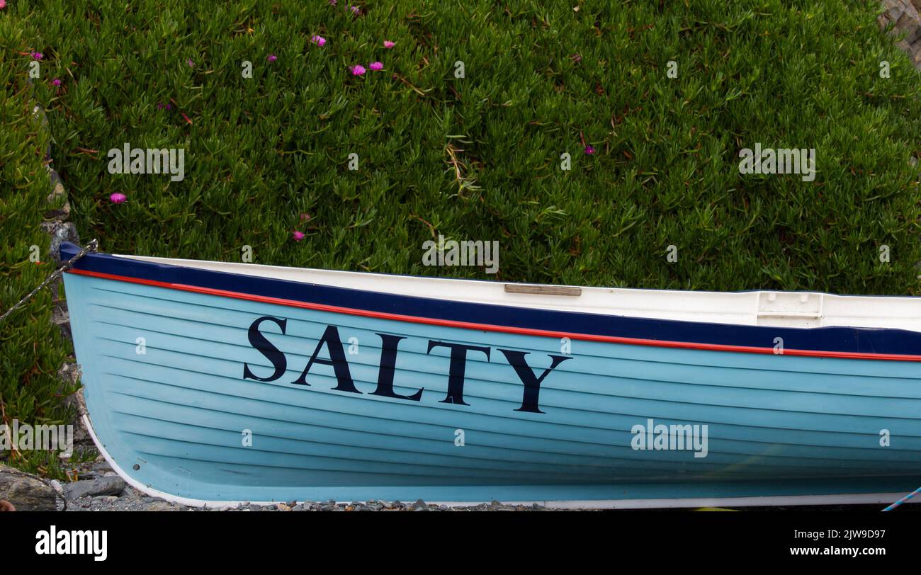 Cornish Pilot Gig 'Salty'. Stockfoto