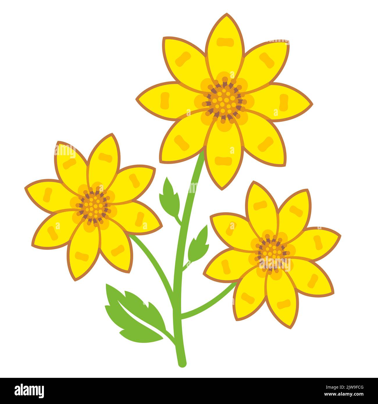 Adey abeba äthiopische Blume, Symbol von Enkutatash (äthiopisches ...