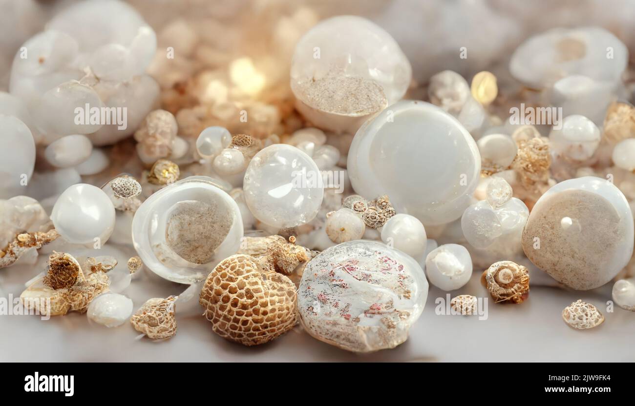 Eine Hintergrundstruktur aus weißen Muscheln, Perlen und Steinen auf einem hellen Hintergrund. Stockfoto