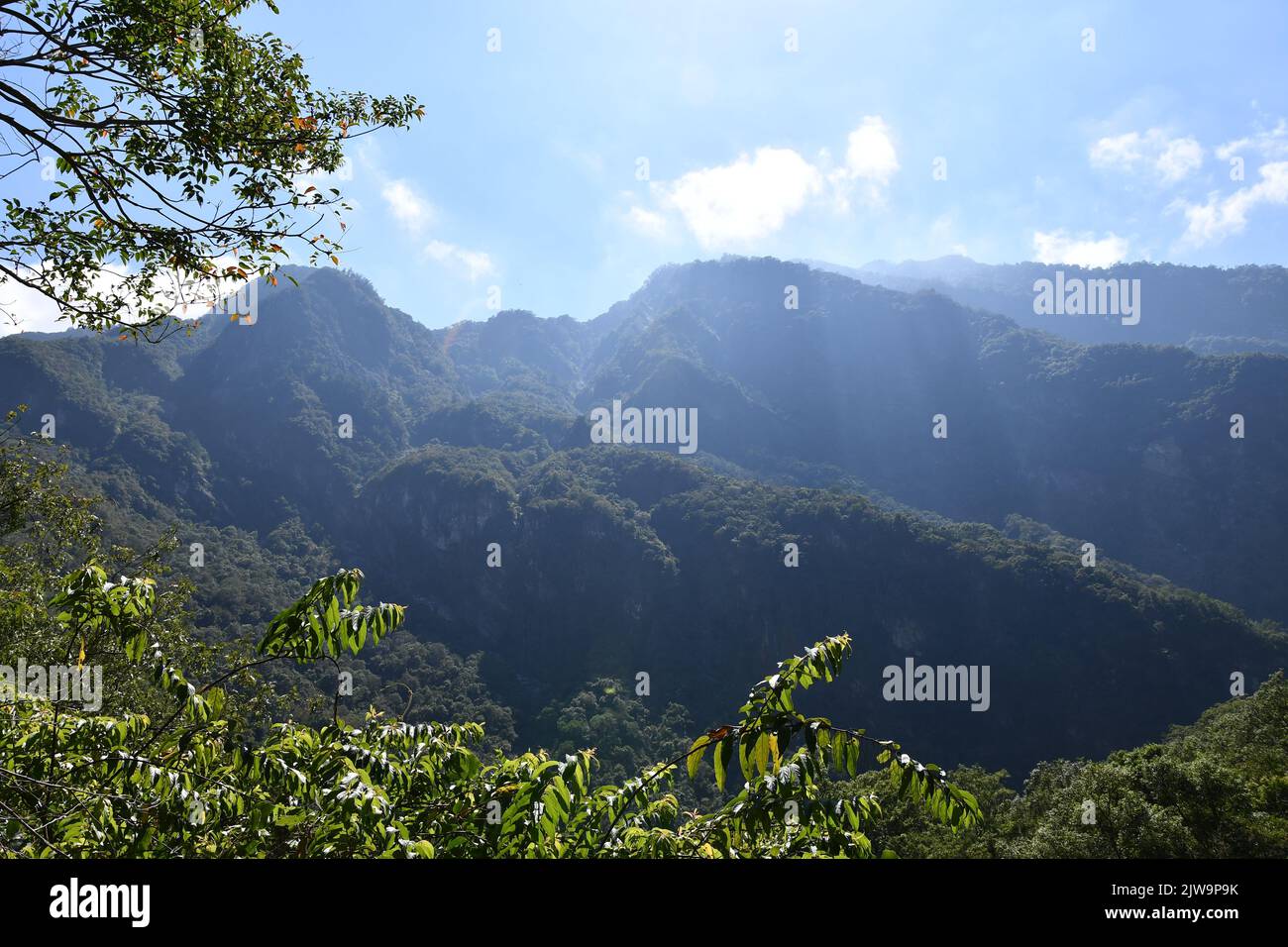 Die Dschungelartigen Waldberge im Erholungsgebiet Tianxiang in der Gemeinde Xiulin, Taiwan. Stockfoto