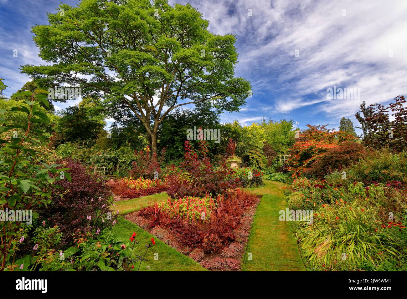 CRATHES CASTLE BANCHORY SCHOTTLAND DIE UMMAUERTEN GARTENSTRÄUCHER UND MEHRJÄHRIGE ROTE BLUMEN IM SPÄTSOMMER Stockfoto