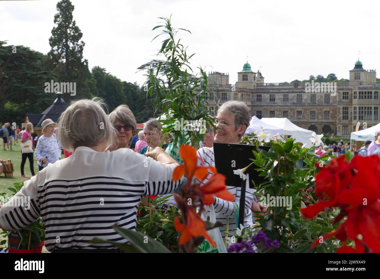 Pflanzen, die auf der ersten Gärtner World Autumn Fair 2022 in Audley End in Essex verkauft werden. Stockfoto