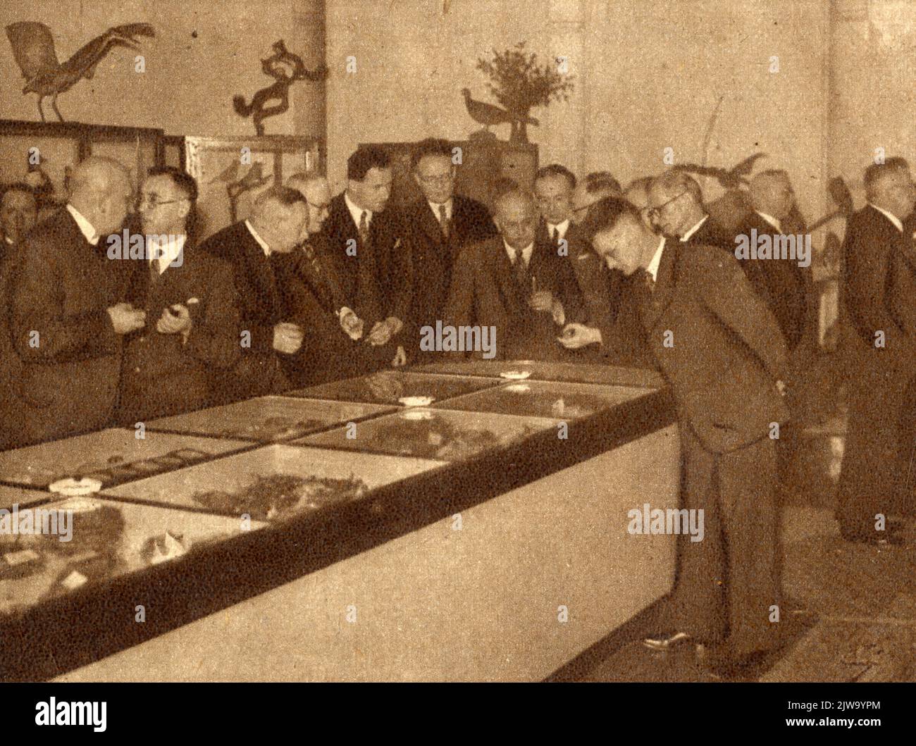 Innenraum des Pavillons im Julianapark in Zuilen, mit einer Ausstellung ausgestopfter Vogels.n.b. Der Julianapark wurde am 1. Januar 1954 in die Gemeinde Utrecht aufgenommen. Stockfoto
