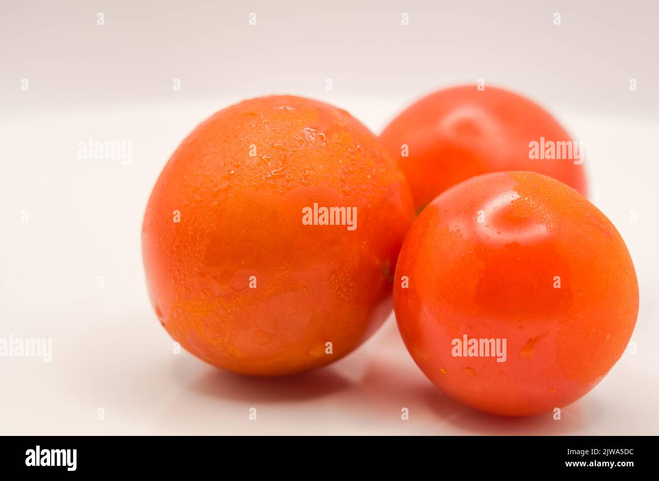 Detaillierte Nahaufnahme von drei reifen, glitzernden Tomaten Stockfoto