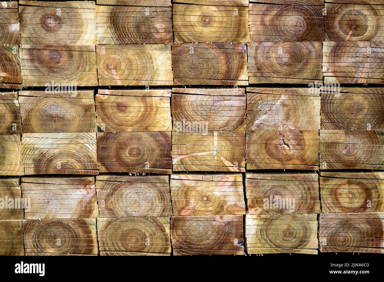 Eine Nahaufnahme von Holzschnitten. Stockfoto