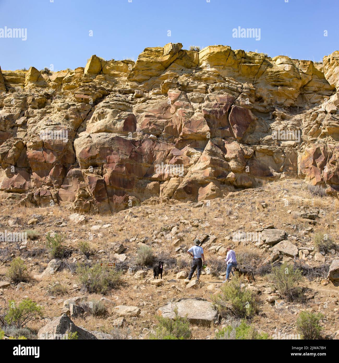 Touristen sehen die Felskunst der Ureinwohner Amerikas auf Sandsteinplatten in Legend Rock State Archaeological Site, Wyoming Stockfoto