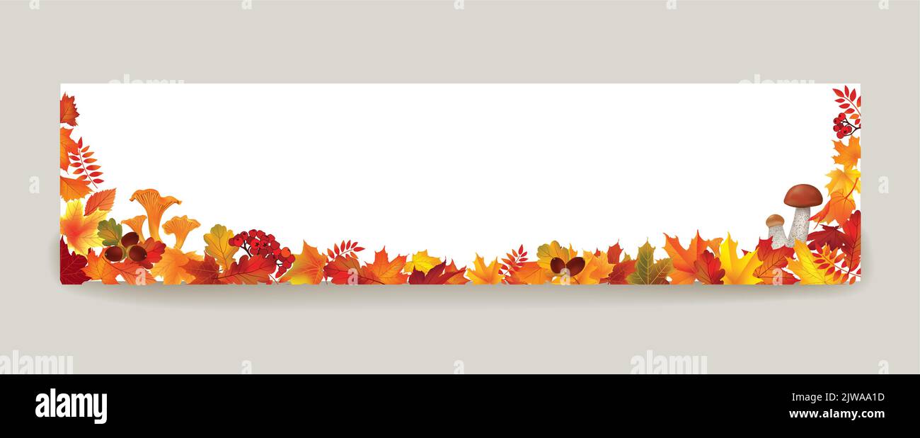 Der Herbst hinterlässt den Hintergrund. Tapete mit Blumen in horizontaler Richtung. Herbst Blatt Natur Banner Verkauf Design Stock Vektor
