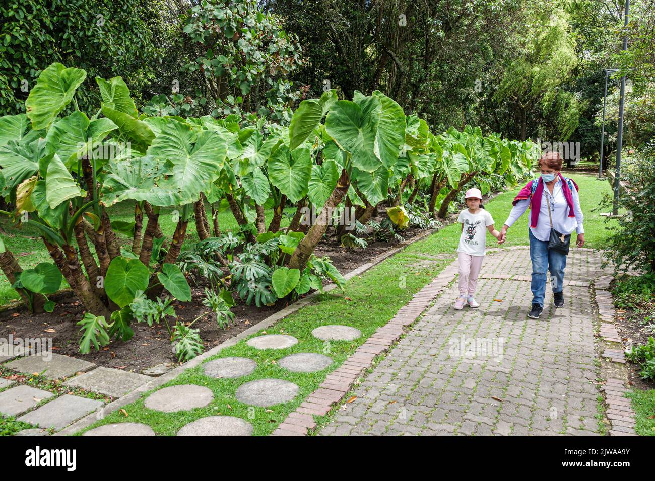 Bogota Kolumbien,Engativa Calle 63 Jardin Botanico de Bogota Jose Celestino Mutis,Kolumbianische Kolumbianer Hispanics Südamerika Lateinamerika Stockfoto