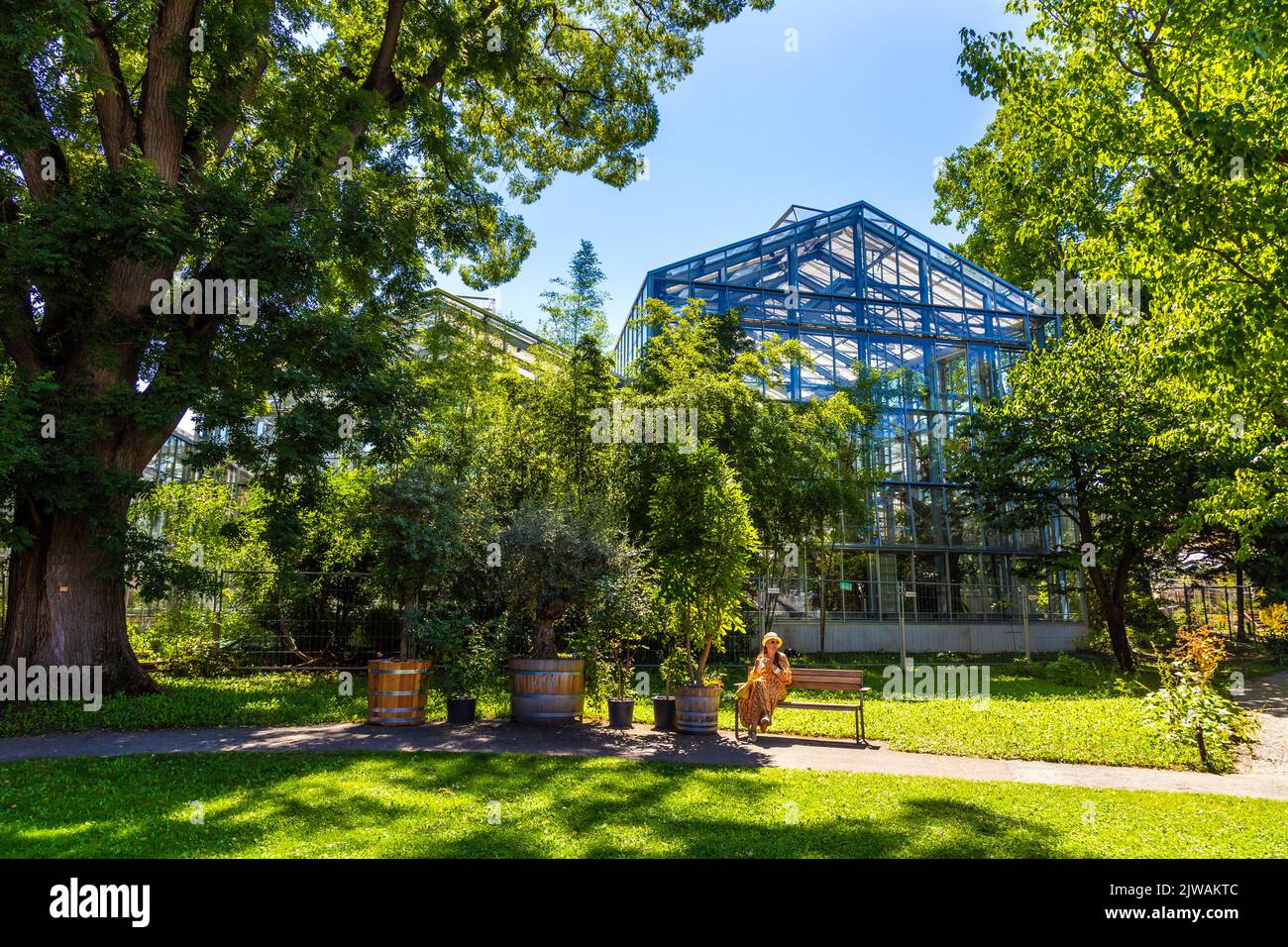 Glashaus im Botanischen Garten der Universität Basel, Basel, Schweiz Stockfoto