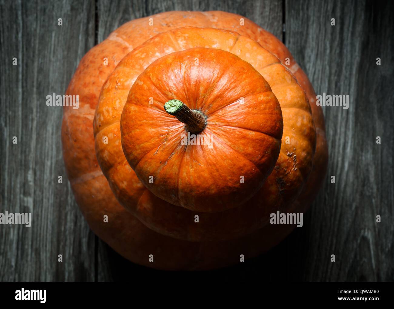 Stapel Halloween Kürbisse auf Holzplanken, Draufsicht auf orangen Gemüsehurm auf dunklem Holzboden oder Tisch. Thanksgiving, Kürbis, Essen, Natur, pa Stockfoto