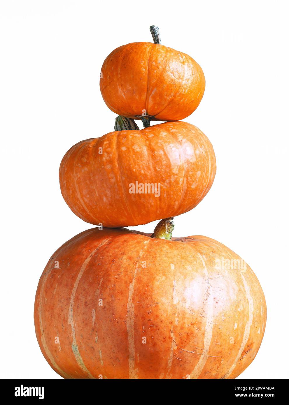 Turm von Kürbissen isoliert auf weißem Hintergrund für Halloween-Thema. Stapel von Gemüse gesetzt, orange Kürbisse Muster. Halloween, Danksagnen, Design, Stockfoto