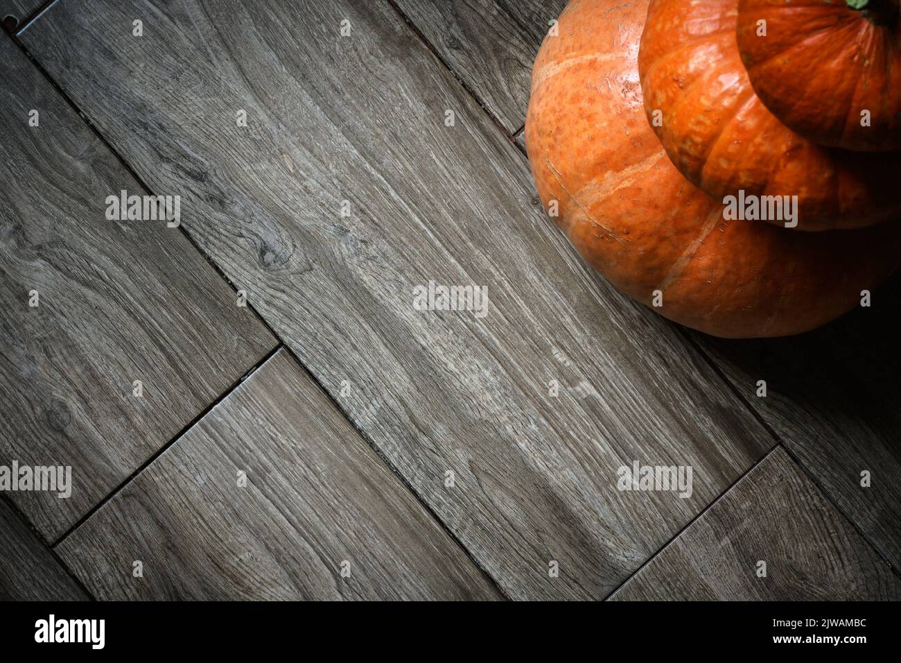 Stapel von Kürbissen auf Holzplanken Hintergrund für Halloween-Thema. Blick von oben auf den Turm mit orangefarbenem Gemüse auf Holzboden und Platz. Halloween, danke Stockfoto