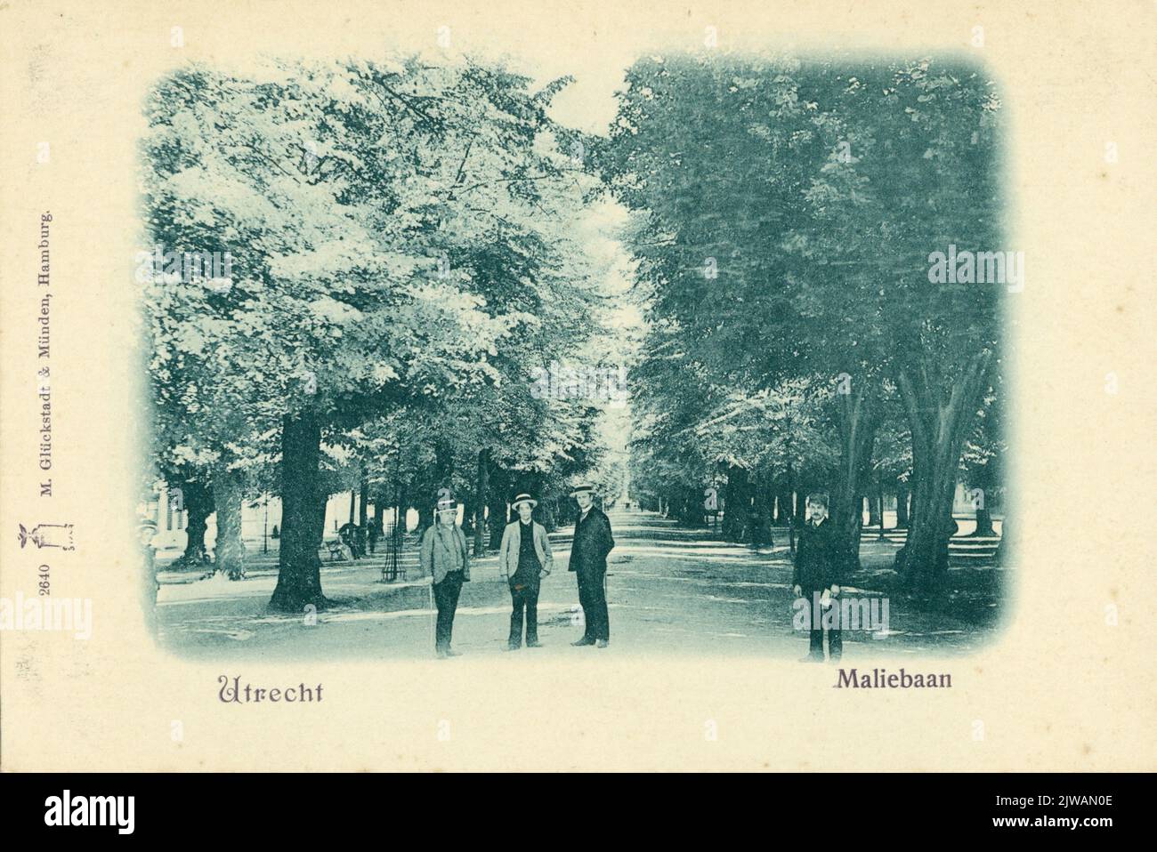 Blick in die Maliebaan in Utrecht. Stockfoto