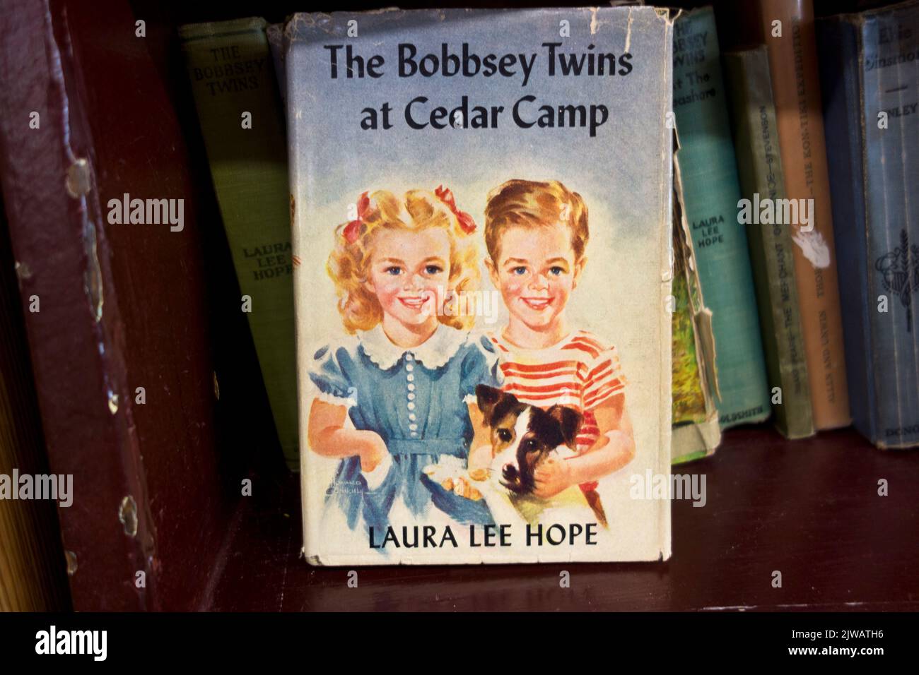 Vintage Bobbsey Twins Kinderbuch auf einem Regal. Stockfoto