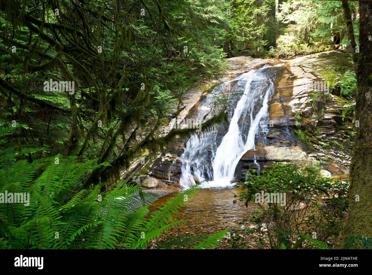 Wasserfall im Cliff Gilker Park in Roberts Creek an der Sunshine Coast von British Columbia, Kanada. Stockfoto