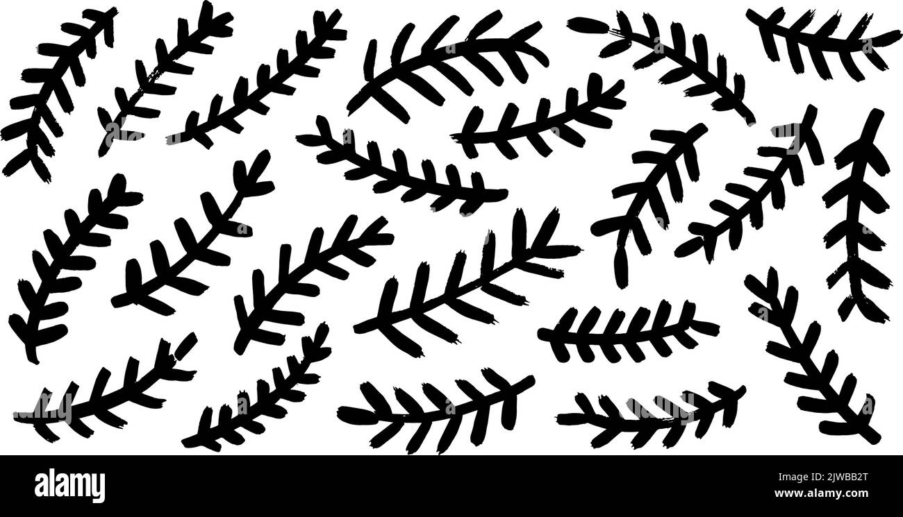 Tannenbaum Vektorzweige, immergrüner Vektorsatz. Stock Vektor