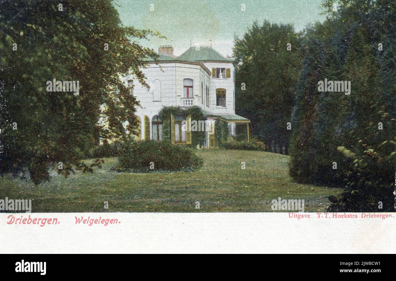 Porträt von Wilhelm III. Van Oranje - Nassau, geboren 1817, König der Niederlande (1849-1890), gestorben 1890. Stehend, stehend, von vorne, in Uniform, mit seiner Familie: Die Königin sitzend mit Schleier und Krone, links Prins Willem, rechts in der Wiege Prinz Alexander und auf dem Bild oben rechts Prinz Maurits, starb 1850. Stockfoto
