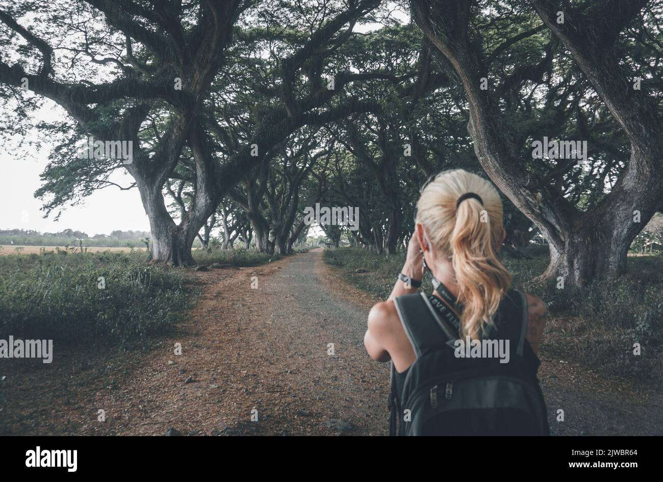 Eine Frau besucht den Djawatan-Wald in Banyuwangi City, Indonesien. Stockfoto