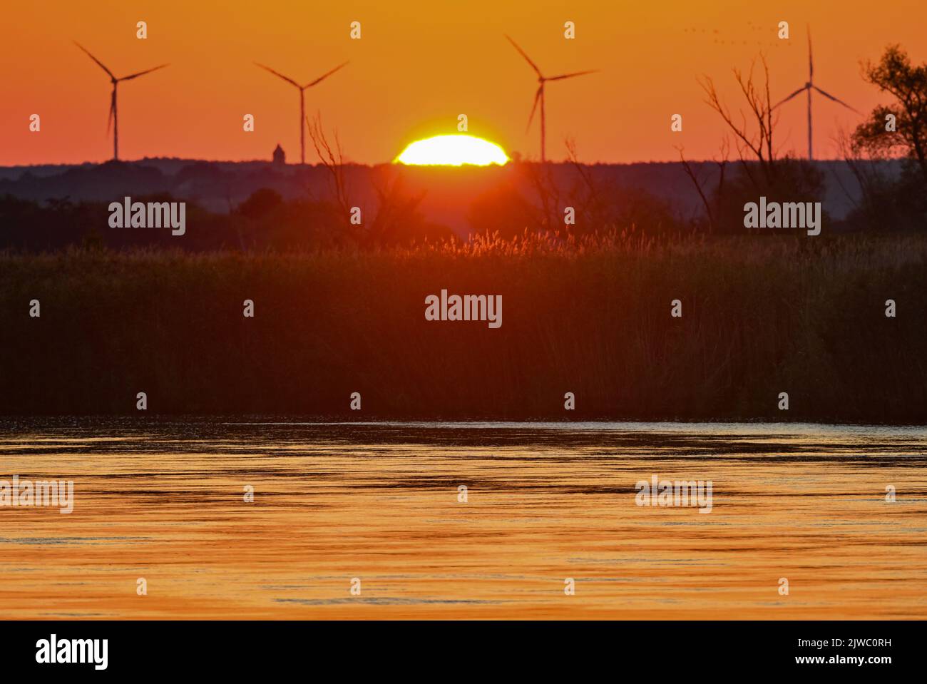 Lebus, Deutschland. 05. September 2022. Die aufgehende Sonne scheint über der deutsch-polnischen Grenzfluß oder. Seit Anfang August wurden Tonnen toter Fische aus dem deutsch-polnischen Grenzfluss geborgen. Mehrere hundert chemische Substanzen könnten zu der Umweltkatastrophe beitragen, aber die genaue Ursache ist noch unklar. Der Abschlussbericht einer deutsch-polnischen Expertengruppe über mögliche Ursachen soll bis Ende September vorliegen. Quelle: Patrick Pleul/dpa/Alamy Live News Stockfoto