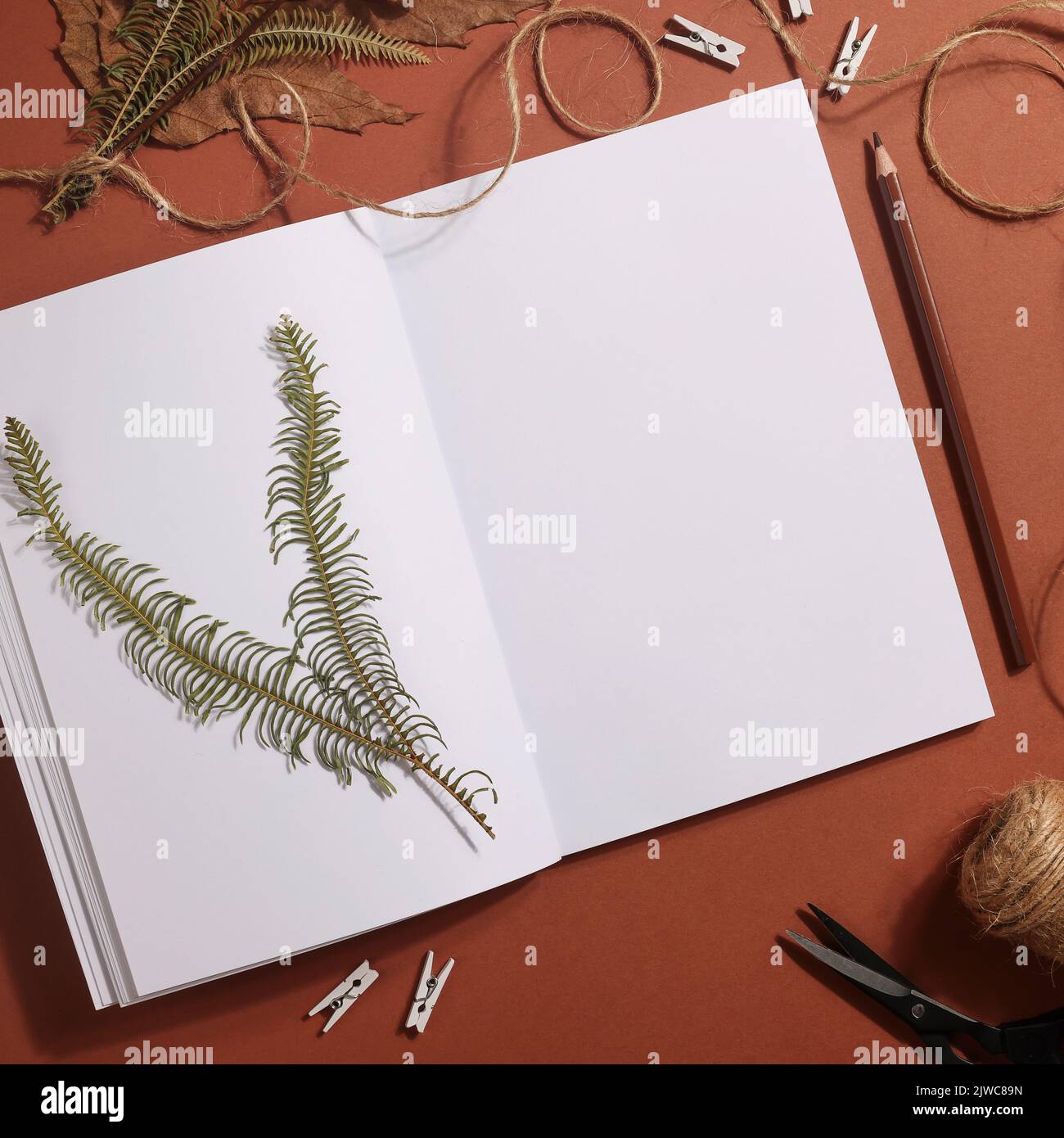 Getrocknetes gepresstes Blatt auf Papier aus Notizbuch mit Bleistift, Schere und Garn auf braunem Hintergrund. Hobby, Handarbeit, Blumenkunst und Boho-Konzept. Quadratisch Stockfoto
