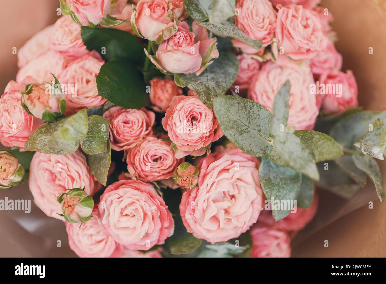 Rosa Sprührosen mit grünen Eukalyptusrosen, die in einem festlichen Bouquet zusammengelegt sind. Top-Viev. Stockfoto