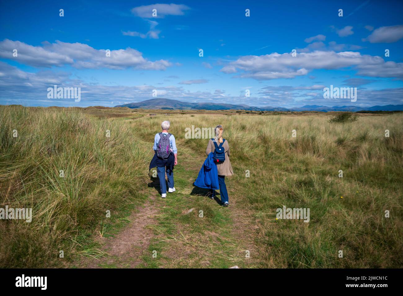 Zwei Frauen gehen im August im Sandscale Haws Nature Reserve, das vom National Trust verwaltet wird, in der Nähe von Barrow-in-Furness, Cumbria, Großbritannien. Stockfoto