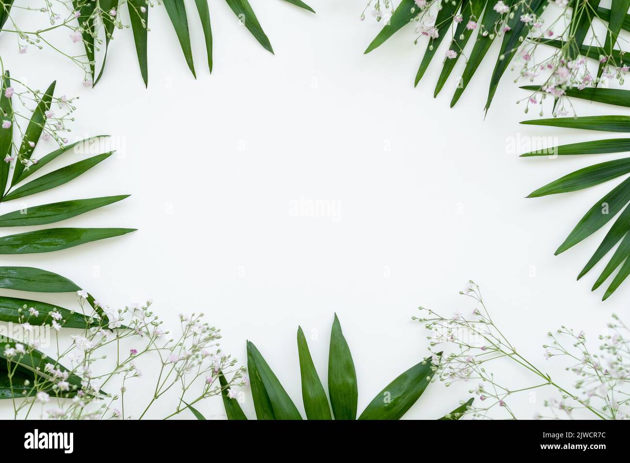 Blumenrahmen natürlichen Hintergrund grün Blatt weiß Stockfoto