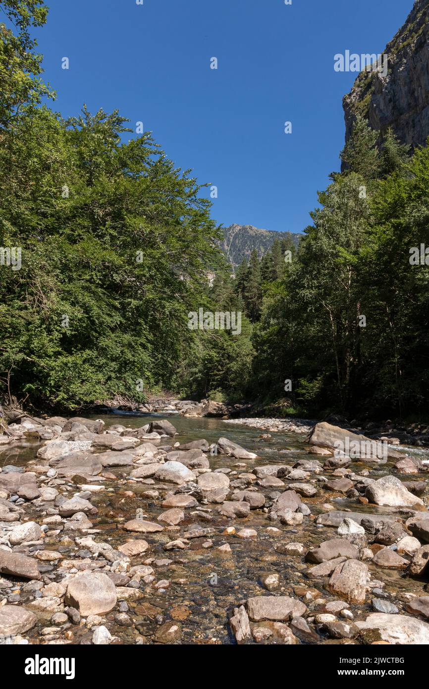 Wilder Fluss in den pyrenäen ein sonniger Sommertag Stockfoto