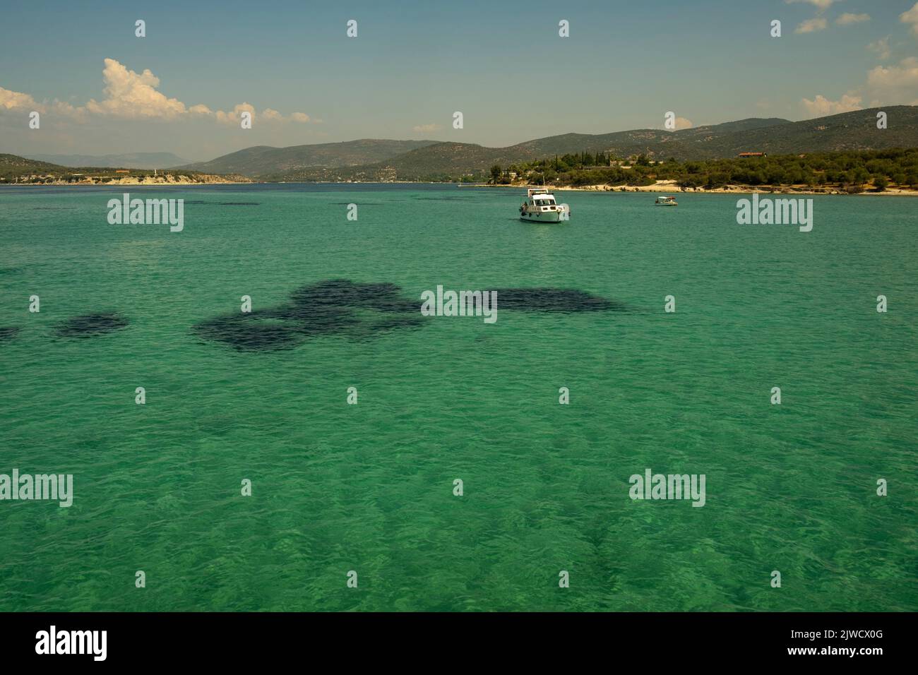 Strand mit klarem Wasser in der Ägäis der Türkei. Stockfoto