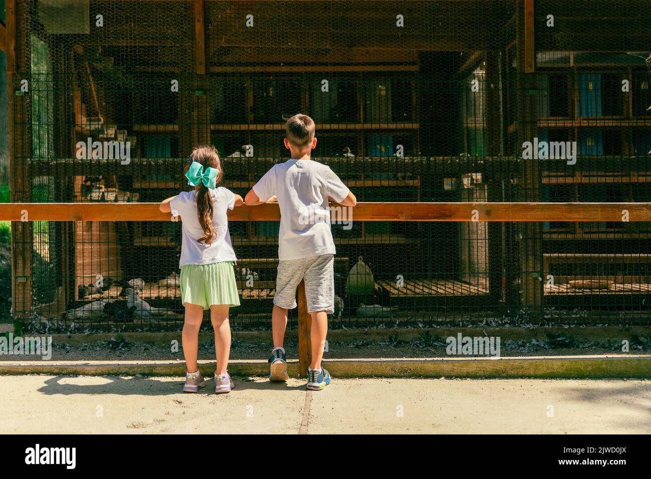 Mädchen und ein Junge schauen in einem Zoo auf einen Käfig mit Tauben. Rückansicht auf Kinder und Tiere Stockfoto