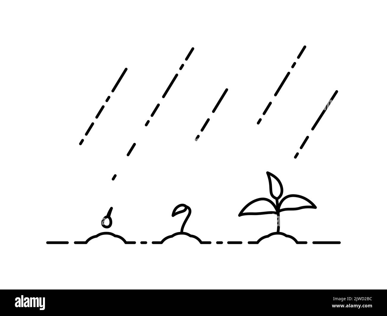 Regen wässern die Pflanzen für das Wachstum. Konzept des Pflanzenwachstums. Vektor-Illustrationen mit Phasen Pflanzenwachstum. Umreißen Sie den trendigen Stil. Stock Vektor