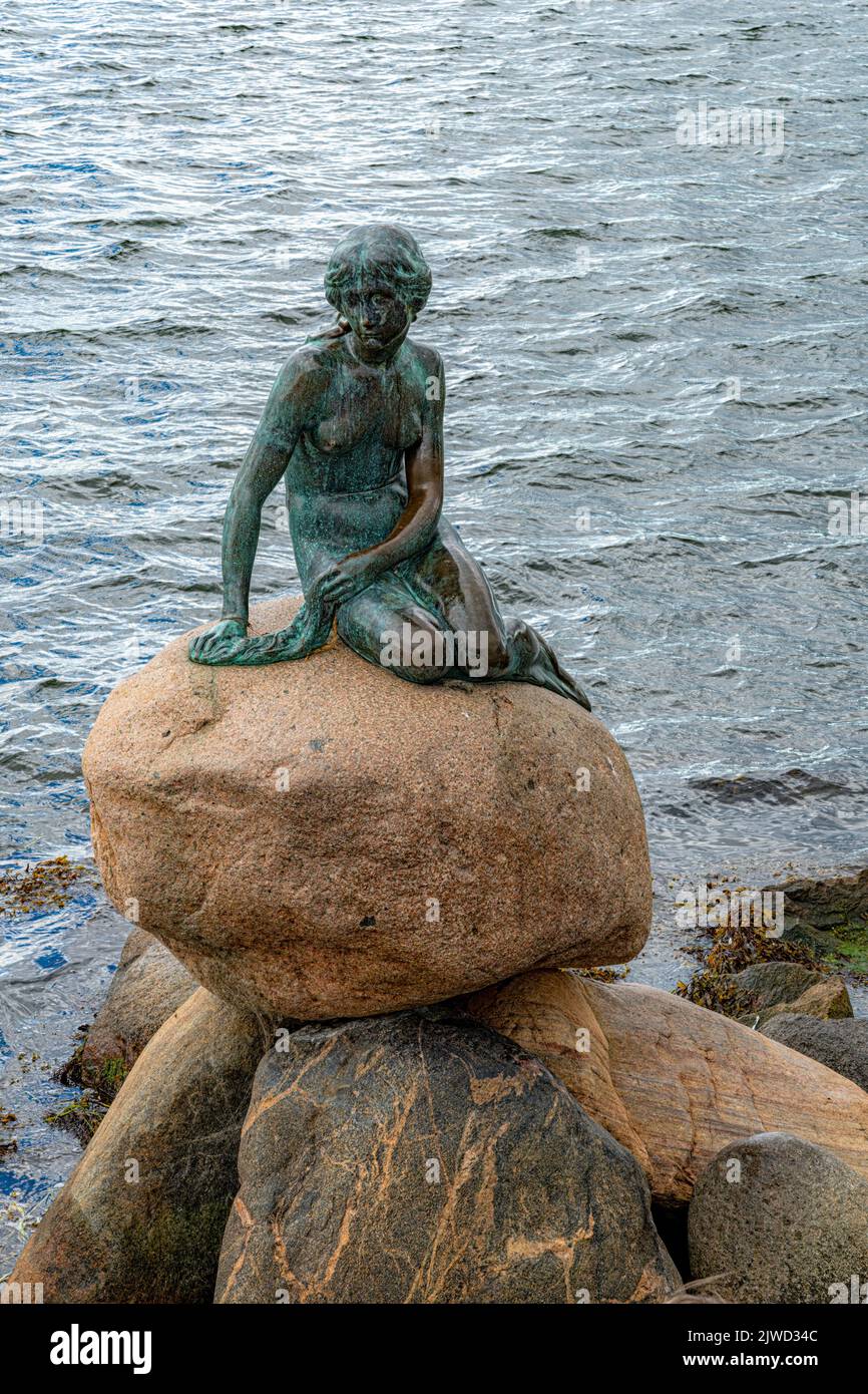 KOPENHAGEN, DÄNEMARK - 03. SEPTEMBER 2022: Die kleine Meerjungfrau ist eine Bronzestatue von Edvard Eriksen, die eine menschlich werdende Meerjungfrau darstellt. Stockfoto