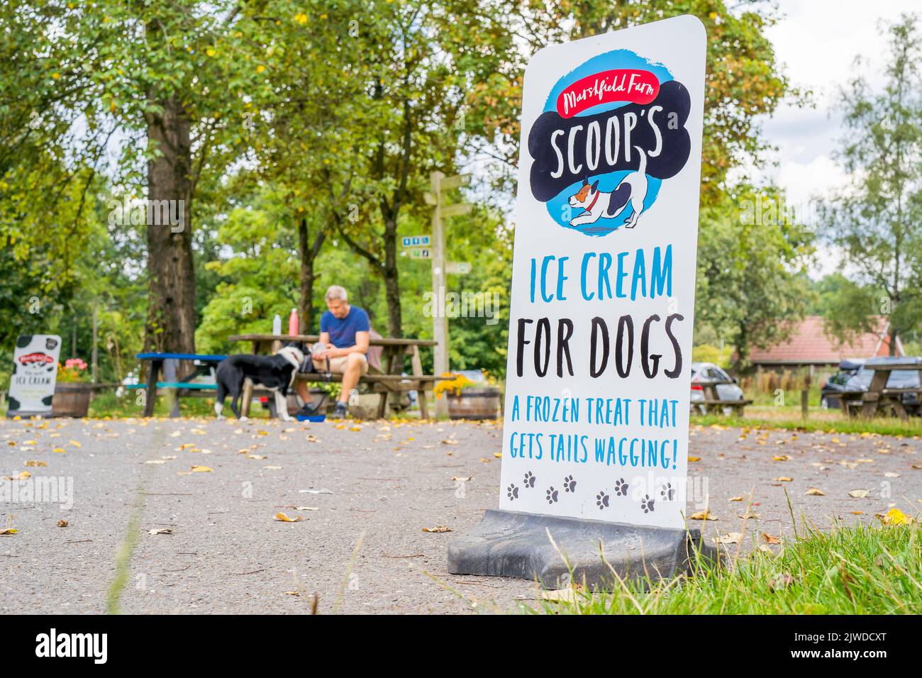 Vorderansicht eines Schildes in einem Park mit Eiscreme für Hunde. Stockfoto