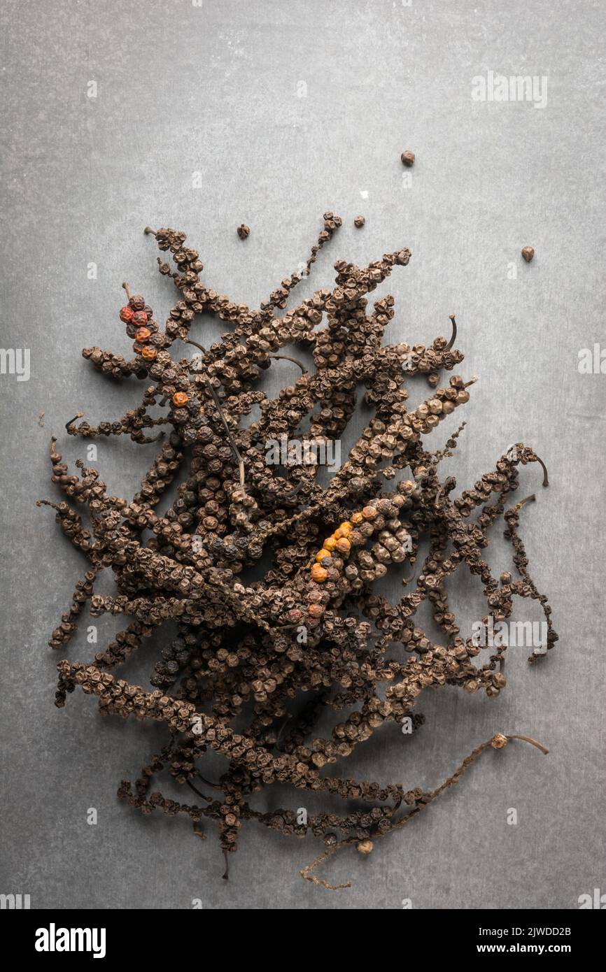 Stapel getrockneter schwarzer Pfefferkörner, trockener schwarzer Pfefferfrüchte oder Steinfrüchte auf Zementoberfläche, würzige und würzige Zutat, direkt von oben entnommen Stockfoto