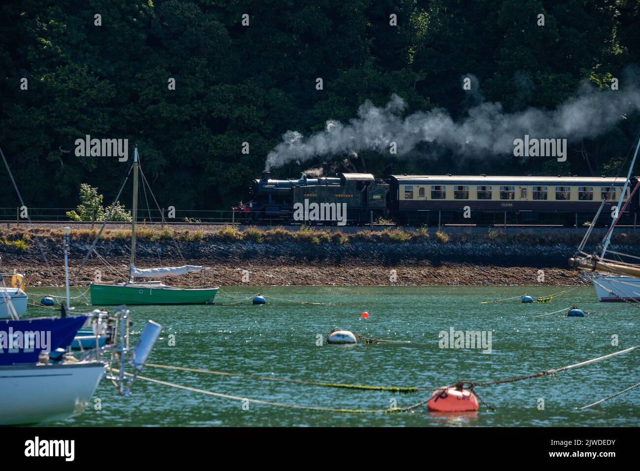 Dartmouth Heritage Eisenbahnlinie mit einer Dampfeisenbahn, die entlang des River Darts verläuft und Yachten im Vordergrund vor Anker liegen. Stockfoto