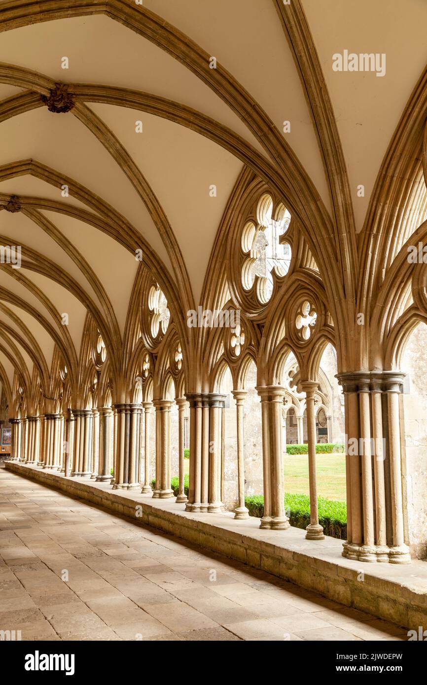 Kloster der Salisbury Cathedral, Salisbury, Wiltshire, England Stockfoto