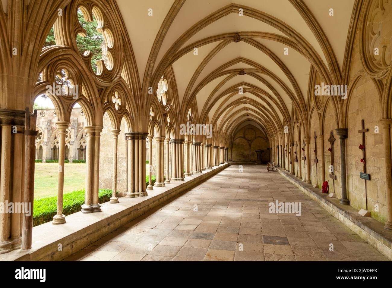 Kloster der Salisbury Cathedral, Salisbury, Wiltshire, England Stockfoto