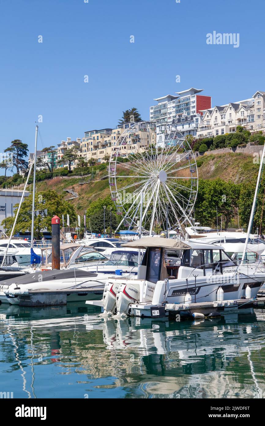 Die Boote vertäuten in der Torquay Marina und im Hintergrund das Riesenrad in den Pavilion Gardens Stockfoto