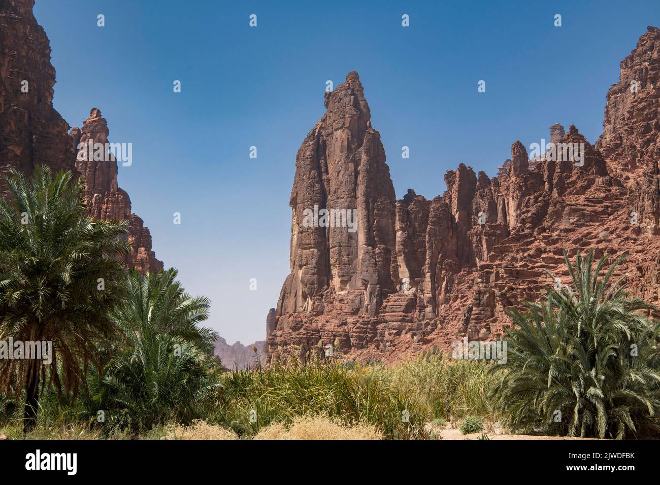 Spektakuläre zerklüftete Landschaft Wadi Disah Tabuk Provinz Saudi-Arabien Stockfoto