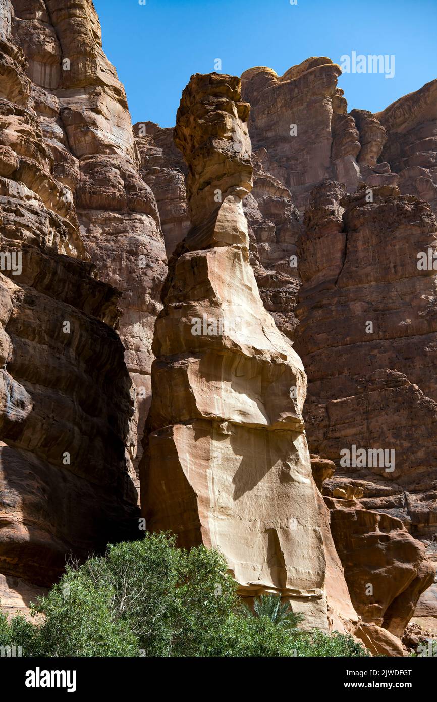 Felsnadel Wadi Disah Tabul Provinz Saudi-Arabien Stockfoto