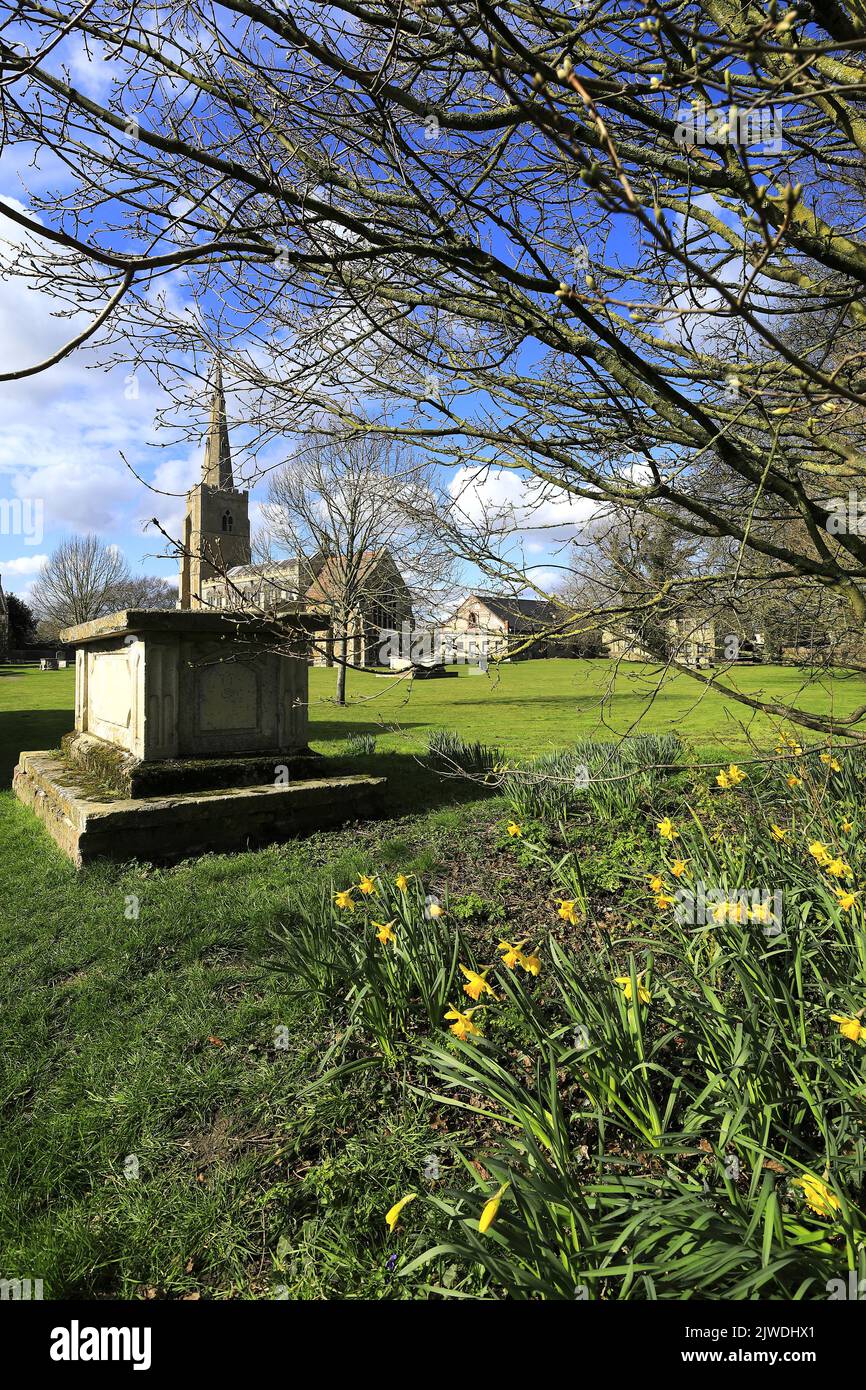 Frühlings-Narzissen in der St. Wendredas Kirche, March Town, Cambridgeshire, England, Großbritannien Stockfoto
